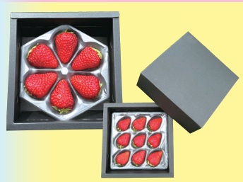 ゆりかーごフラワー他 ゆりかーごフラワー他