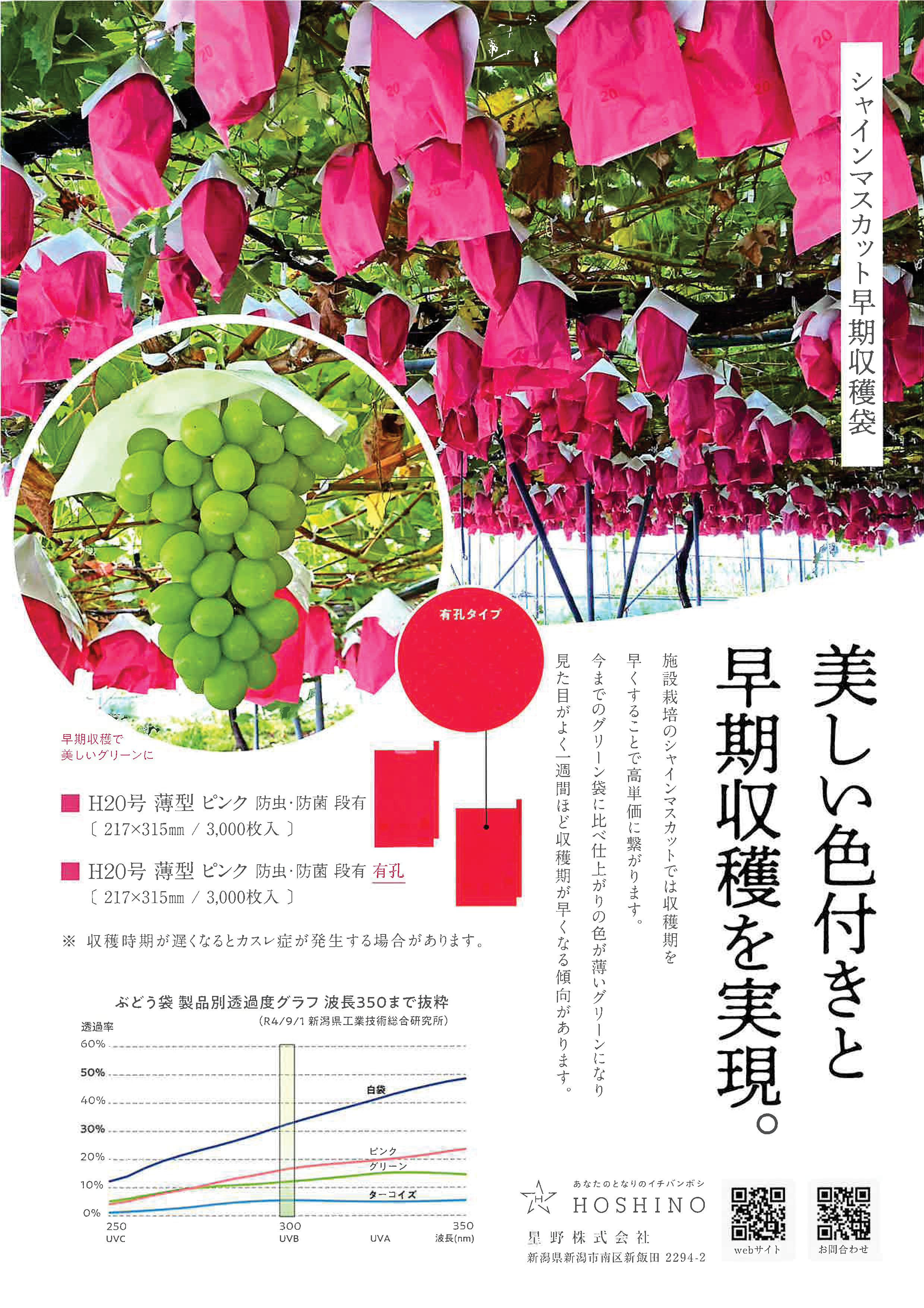 ピンク袋チラシ