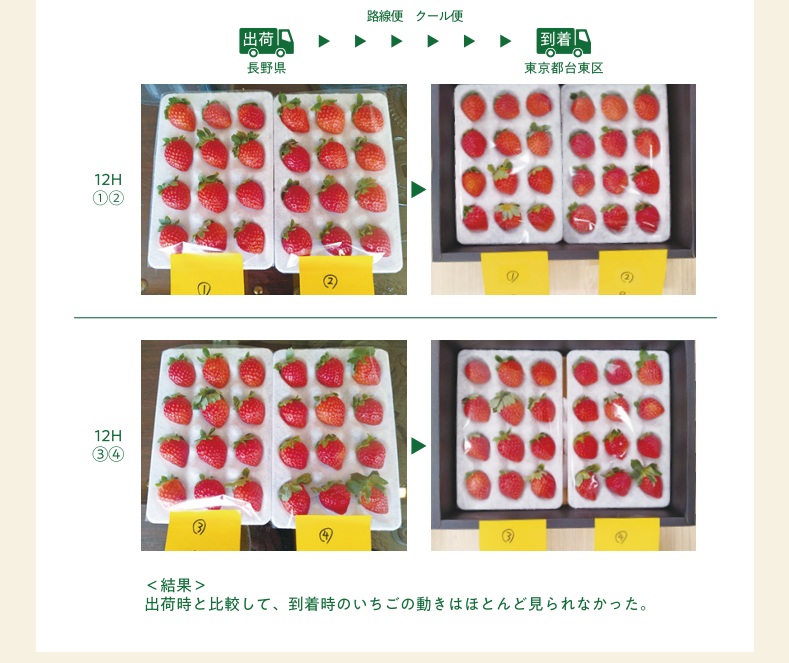 いちごハンモックトレー④