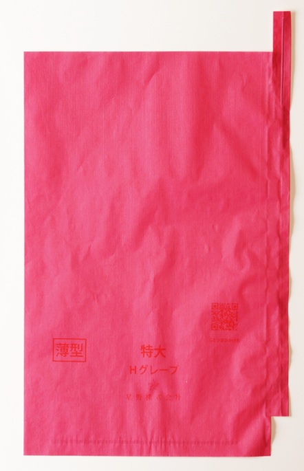 Hグレープ 薄型 ピンク 段有